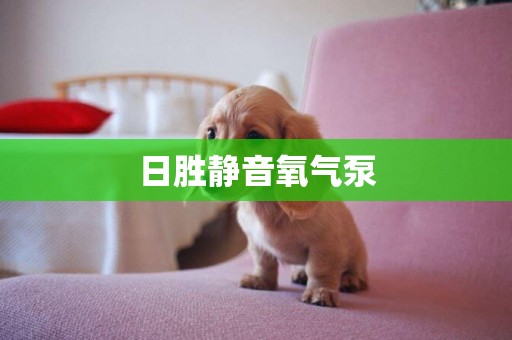 日勝靜音氧氣泵