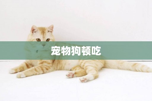 寵物狗頓吃