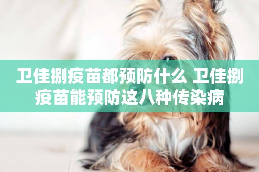 衛佳捌疫苗都預防什么 衛佳捌疫苗能預防這八種傳染病