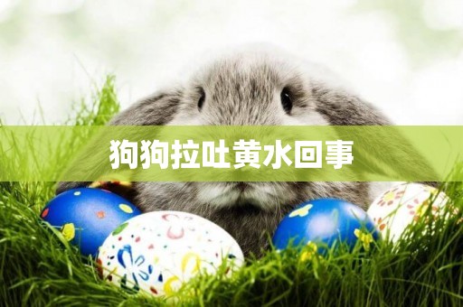 狗狗拉吐黃水回事