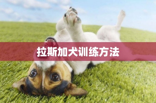 拉斯加犬訓練方法