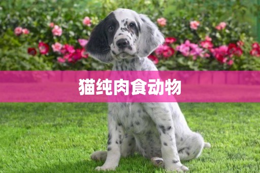貓純肉食動物