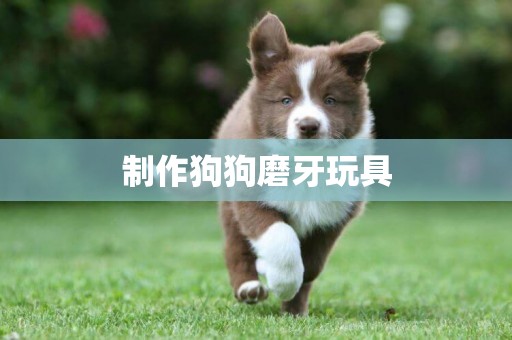 制作狗狗磨牙玩具