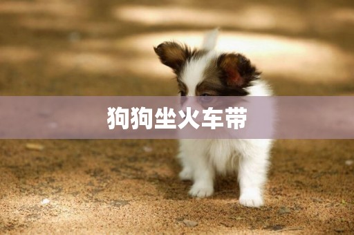 狗狗坐火車帶