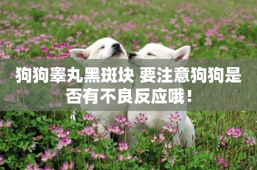 狗狗睪丸黑斑塊 要注意狗狗是否有不良反應哦！
