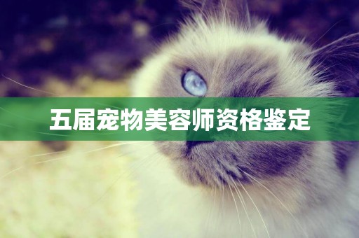 五屆寵物美容師資格鑒定