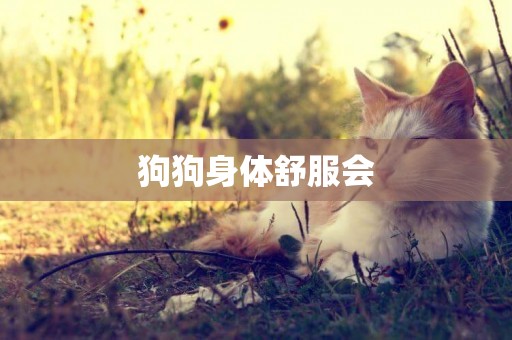 狗狗身體舒服會