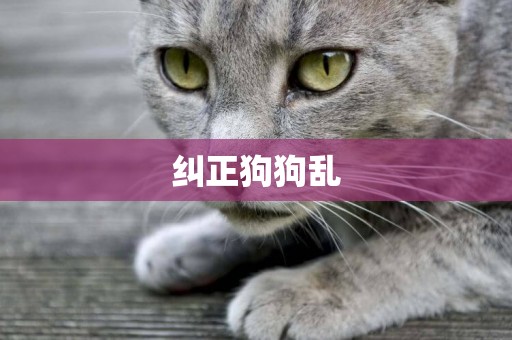 糾正狗狗亂