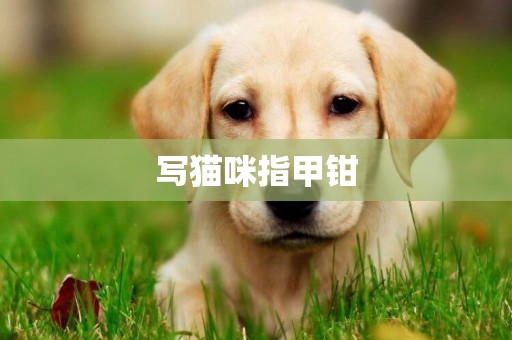 寫貓咪指甲鉗
