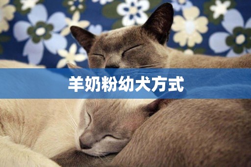 羊奶粉幼犬方式