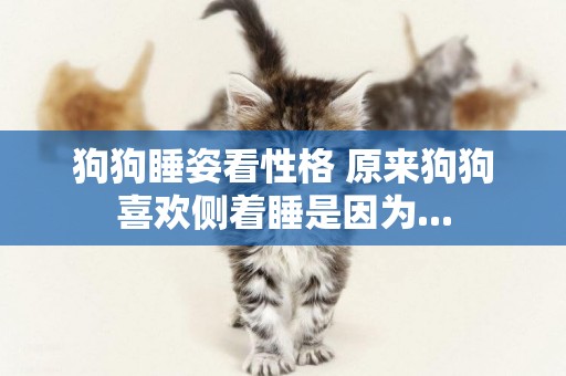 狗狗睡姿看性格 原來狗狗喜歡側著睡是因為...