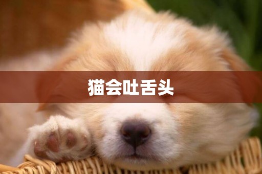 貓會吐舌頭