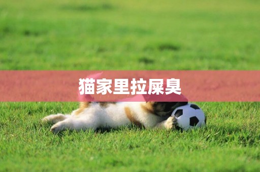 貓家里拉屎臭