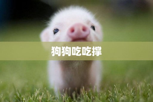 狗狗吃吃撐