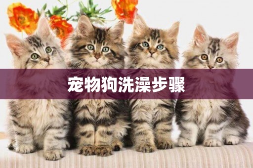 寵物狗洗澡步驟