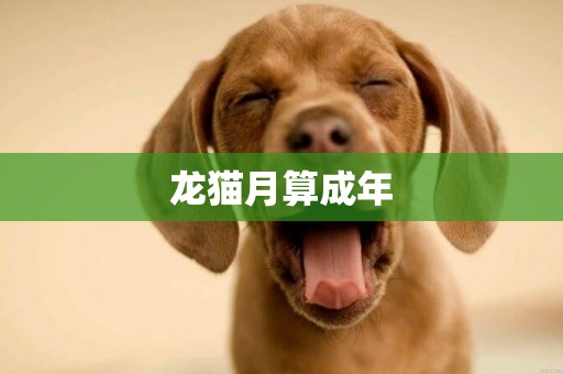 龍貓月算成年