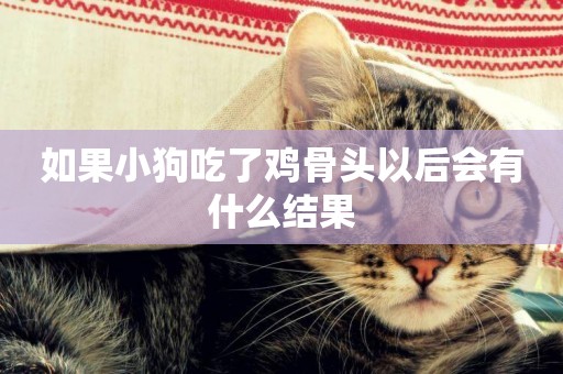如果小狗吃了雞骨頭以后會有什么結果