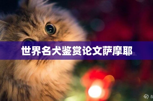世界名犬鑒賞論文薩摩耶