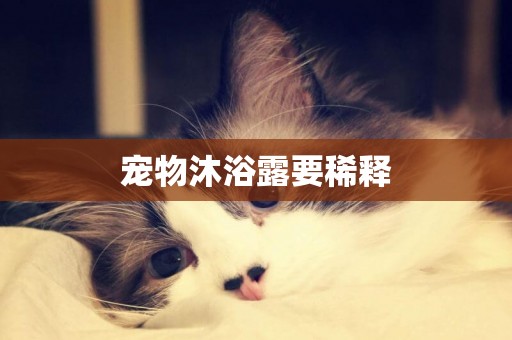 寵物沐浴露要稀釋