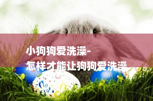 小狗狗愛洗澡-
怎樣才能讓狗狗愛洗澡