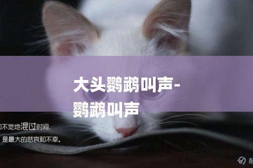 大頭鸚鵡叫聲-
鸚鵡叫聲