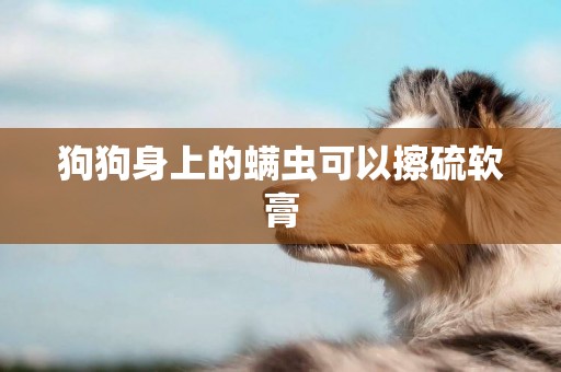 狗狗身上的螨蟲可以擦硫軟膏