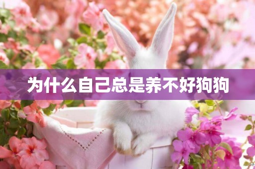 為什么自己總是養不好狗狗