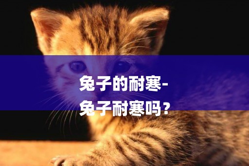 兔子的耐寒-
兔子耐寒嗎？