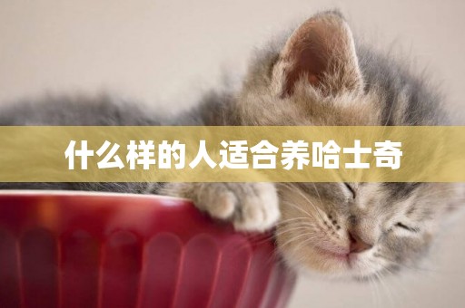 什么樣的人適合養哈士奇