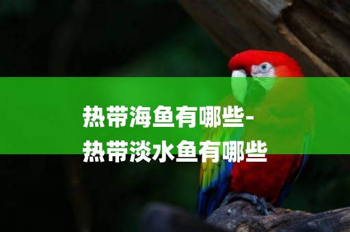 熱帶海魚有哪些-
熱帶淡水魚有哪些