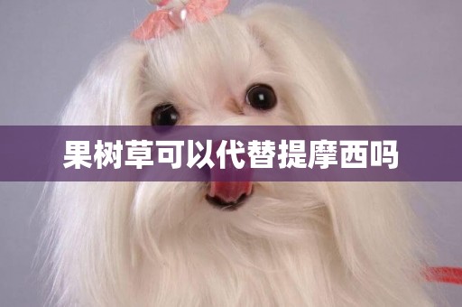 果樹草可以代替提摩西嗎