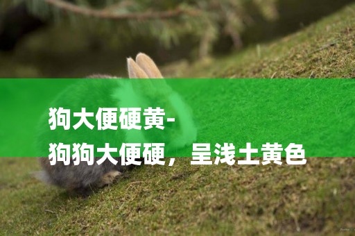 狗大便硬黃-
狗狗大便硬，呈淺土黃色
