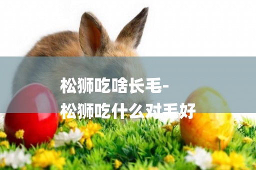 松獅吃啥長毛-
松獅吃什么對毛好