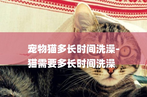 寵物貓多長時間洗澡-
貓需要多長時間洗澡