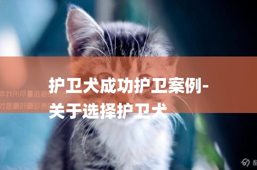 護衛犬成功護衛案例-
關于選擇護衛犬