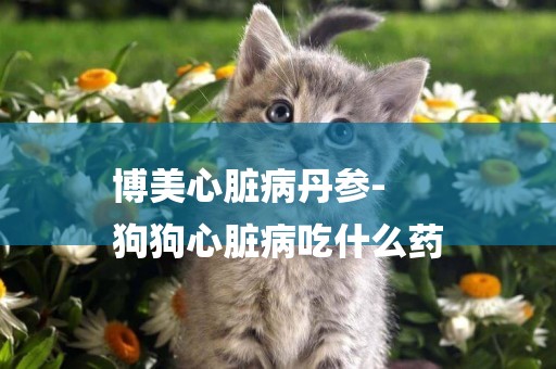 博美心臟病丹參-
狗狗心臟病吃什么藥