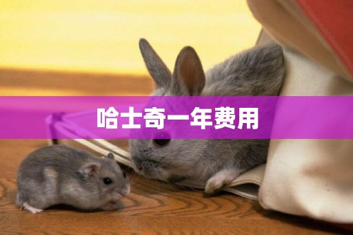 哈士奇一年費用