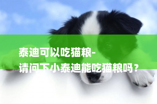 泰迪可以吃貓糧-
請問下小泰迪能吃貓糧嗎？