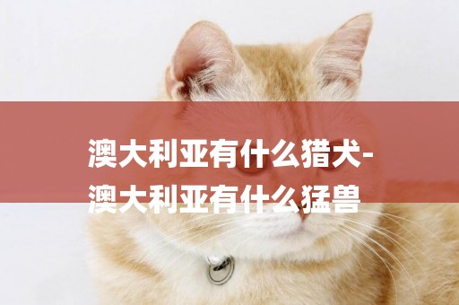 澳大利亞有什么獵犬-
澳大利亞有什么猛獸