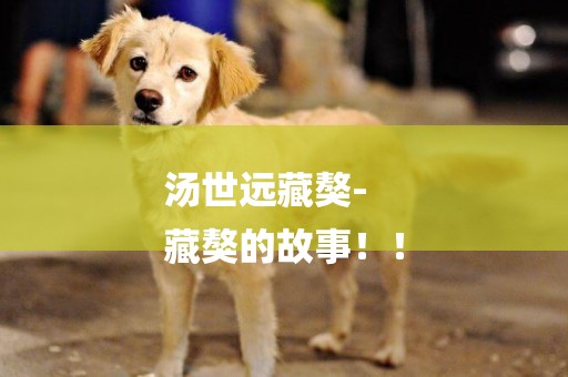 湯世遠藏獒-
藏獒的故事！！