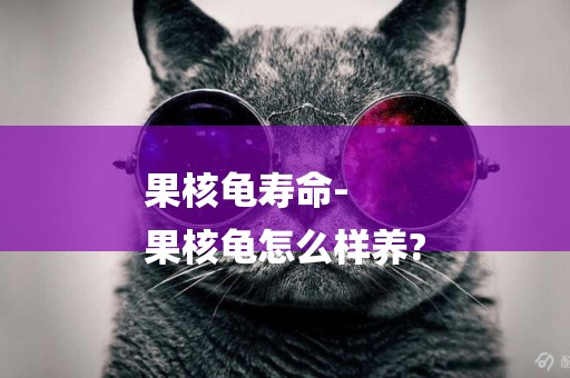 果核龜壽命-
果核龜怎么樣養?