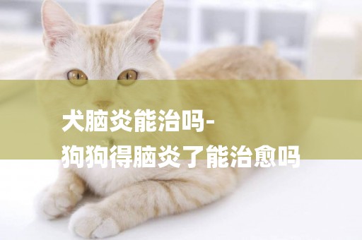 犬腦炎能治嗎-
狗狗得腦炎了能治愈嗎