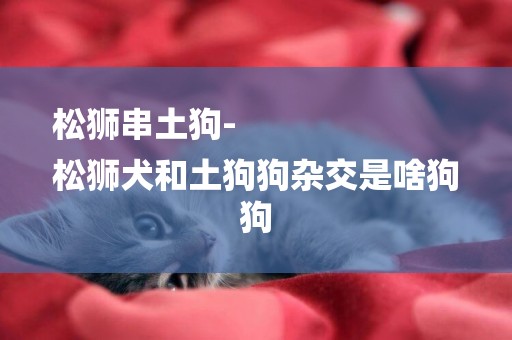 松獅串土狗-
松獅犬和土狗狗雜交是啥狗狗