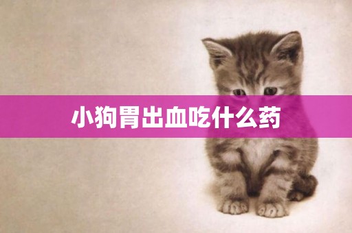 小狗胃出血吃什么藥