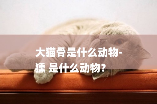 大貓骨是什么動物-
獯 是什么動物？