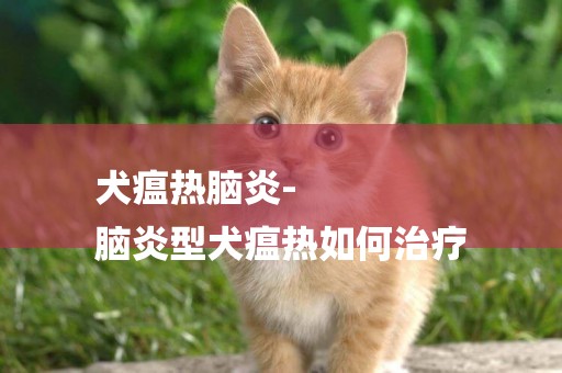犬瘟熱腦炎-
腦炎型犬瘟熱如何治療