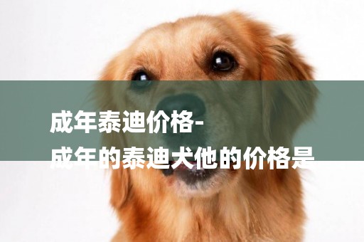 成年泰迪價格-
成年的泰迪犬他的價格是