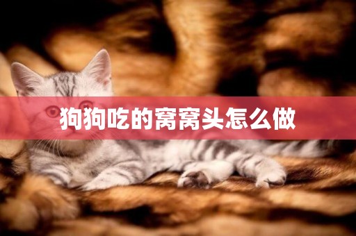 狗狗吃的窩窩頭怎么做