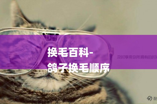 換毛百科-
鴿子換毛順序