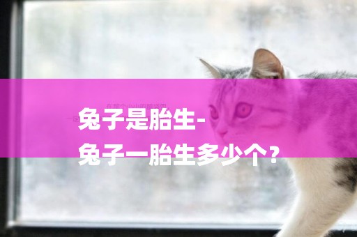 兔子是胎生-
兔子一胎生多少個？